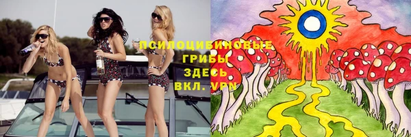 PSILOCYBIN Балахна
